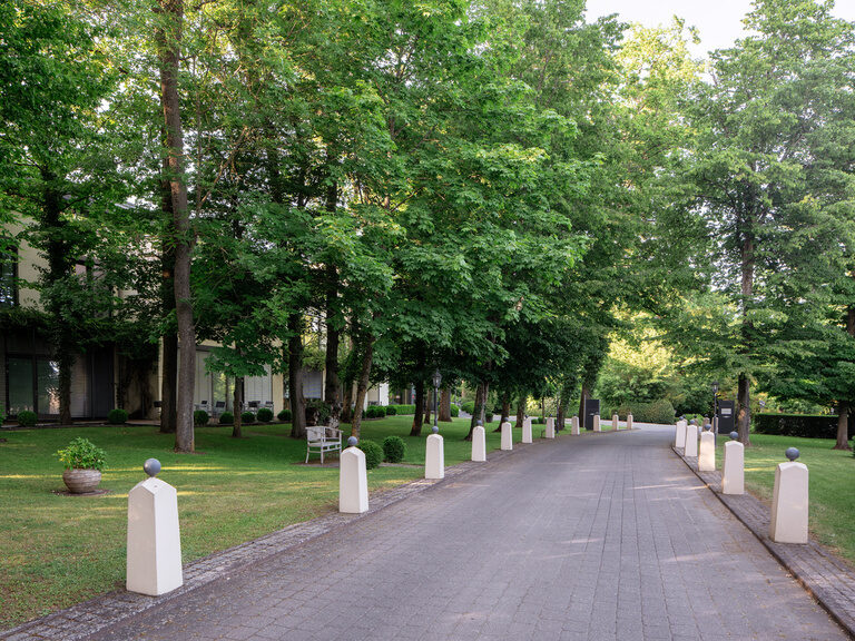 Allee bildet Zufahrt zum Hotel.